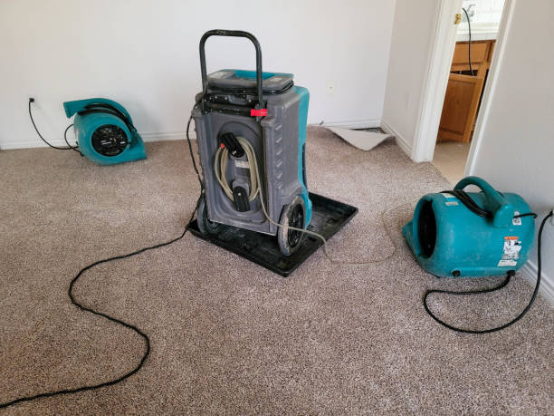 Best Local water damage restoration  in Fairview, MT