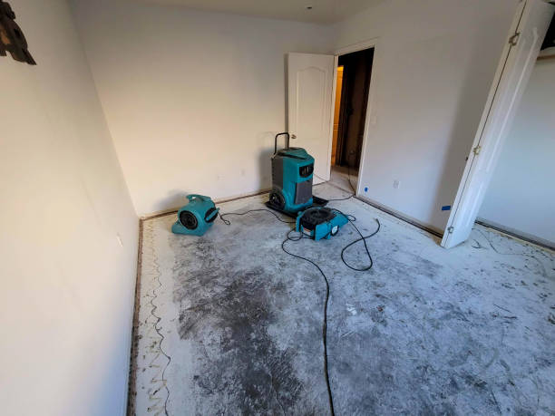 Best 24-hour water damage restoration  in Fairview, MT