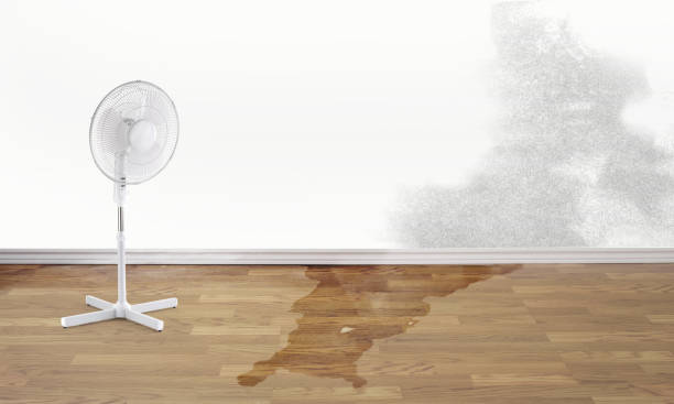 Professional Water damage restoration in MT