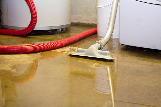 Best Water damage restoration cost  in Fairview, MT