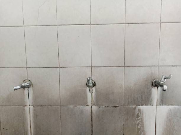 Best Mold removal after water damage  in Fairview, MT