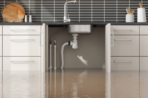 Best Water damage restoration near me  in Fairview, MT