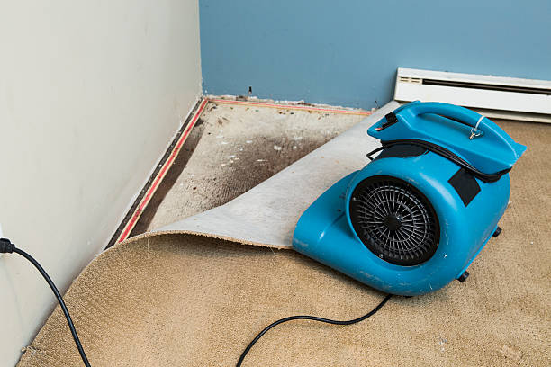 Best Commercial water damage restoration  in Fairview, MT
