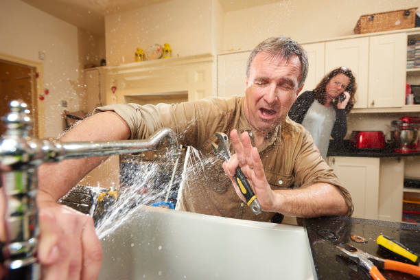 Best Flooded house restoration  in Fairview, MT